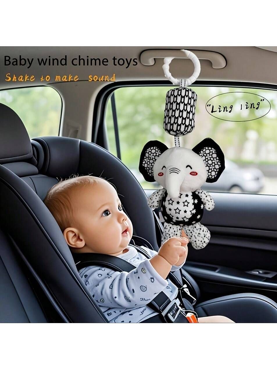 Car Seats &Accessories
