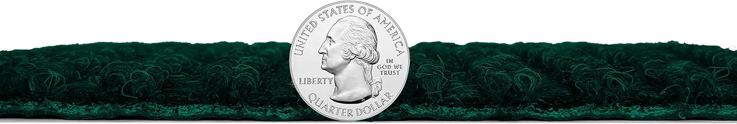 KOECKRITZ Heavy Duty Durable All Weather Indoor/Outdoor Non Slip Entrance Mat Rugs and Runners for Office Business Building Home Garage Front Door (6' x 11', Green)