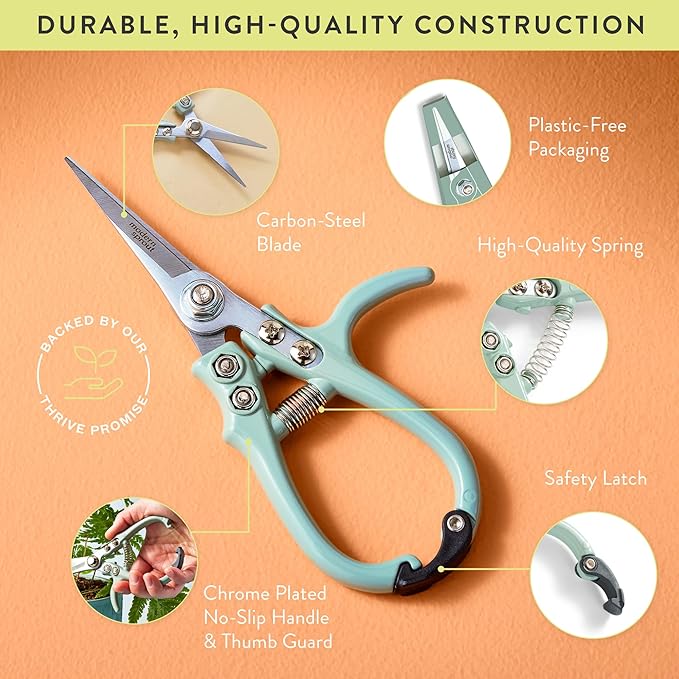 Modern Sprout Pruning Shears - Herb Snipping Scissors- Lightweight Gardening Tools W/Easy Lock - Flower Cutter Garden Shears - Carbon Steel Blade + Reusable Holster (Sage, 1-Pack)